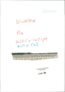 Thread-waisted wasps. - Vintage Photograph