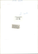 Ancient Wasp. - Vintage Photograph