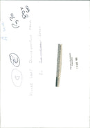 Insect. - Vintage Photograph