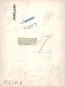 Giant panda Animal "Lien Ho". - Vintage Photograph