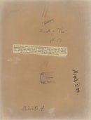 Giant panda Animal - Vintage Photograph