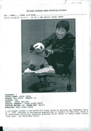 A zoo keeper weighs a two month old giant panda at Beijing. - Vintage Photograph