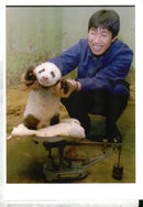 A zoo keeper weighs a two month old giant panda at Beijing. - Vintage Photograph