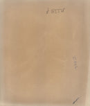 Giant panda Animal - Vintage Photograph