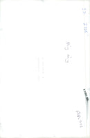 Ming ming the new panda at  London Zoo. - Vintage Photograph