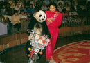 A biking giant panda with his trainer. - Vintage Photograph