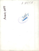 Giant panda Animal - Vintage Photograph