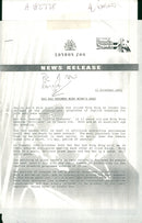 Bao bao becomes Ming ming's beau. - Vintage Photograph