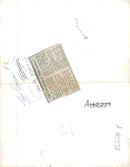 Chi Chi Giant panda - Vintage Photograph