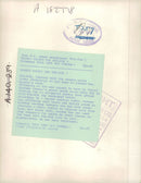 Chi Chi Giant panda - Vintage Photograph