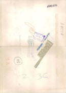 Chi Chi Giant panda - Vintage Photograph