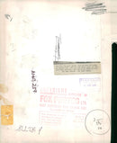 Chi Chi Giant panda - Vintage Photograph