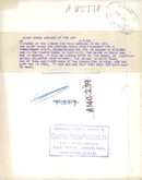 Chi Chi Giant panda - Vintage Photograph