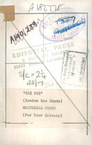 Chi Chi Giant panda - Vintage Photograph