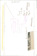 Volkswagen - Vintage Photograph