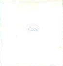 Ibis Bird - Vintage Photograph