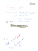 Ibis Bird with fiona - Vintage Photograph