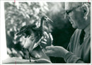 Ibis Bird three years old with bill makins - Vintage Photograph