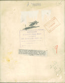 Duke of Primo de Rivera and his wife. - Vintage Photograph