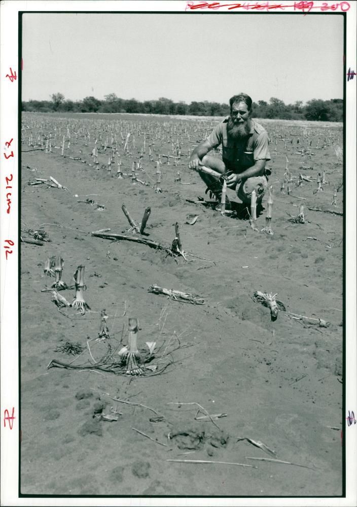 South Africa drought - Vintage Photograph