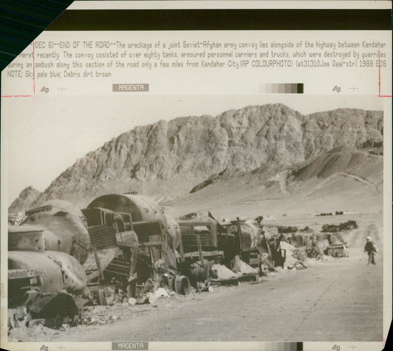 wreckage of about 80 tanks - Vintage Photograph