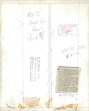 Seattle adn speace needle ovservation tower. - Vintage Photograph