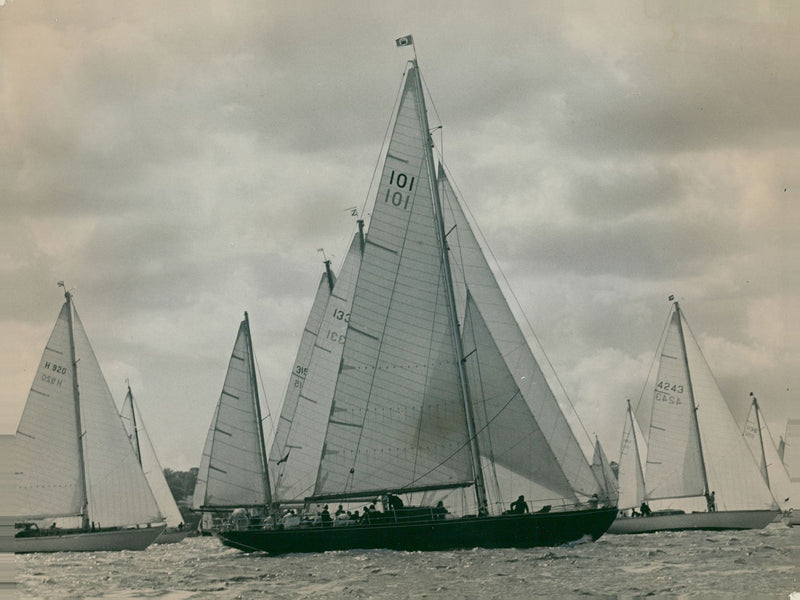 blood hound yatch - Vintage Photograph