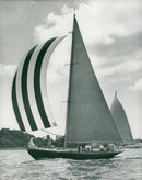 blood hound yatch - Vintage Photograph