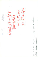 Tea culture - Vintage Photograph