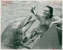 Animal: Rocky the Atlantic Dolphin. - Vintage Photograph