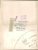 Animal: Dolphin Flipper with his trainer. - Vintage Photograph