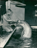 Animal: Dolphin Flipper with his trainer. - Vintage Photograph