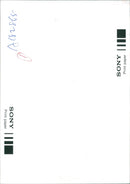 Dolphin Animal. - Vintage Photograph