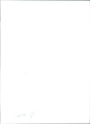 Dolphin Animal. - Vintage Photograph