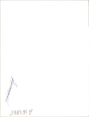 Freddy the dolphin in the water. - Vintage Photograph