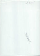 A ten year old mother dolphin swim with her new baby. - Vintage Photograph