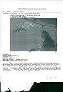 Dolphin Animal,missy kalyn - Vintage Photograph