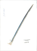 The fin of a bluenose dolphin. - Vintage Photograph