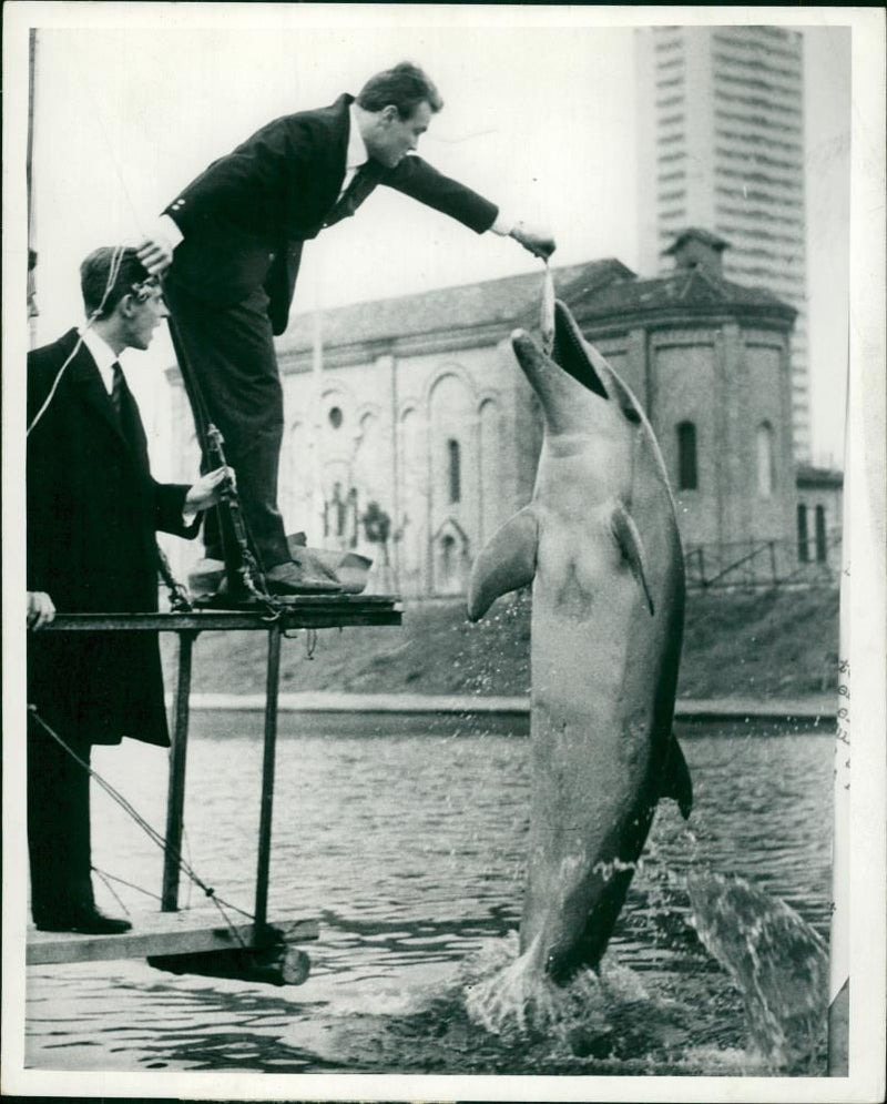 Dolphin Animal and a two man. - Vintage Photograph