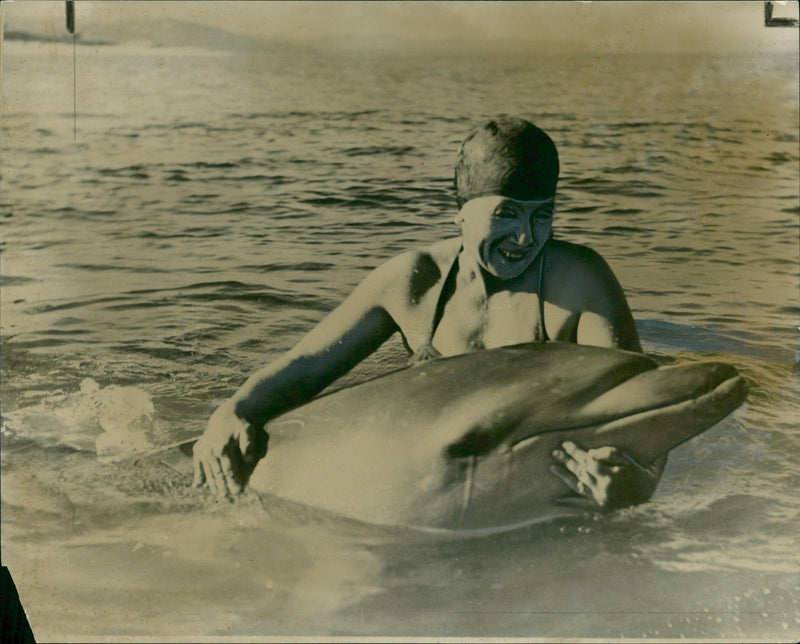 Friendly is O P O a dolphin. - Vintage Photograph