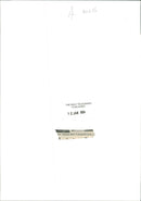 A Frightful nude. - Vintage Photograph