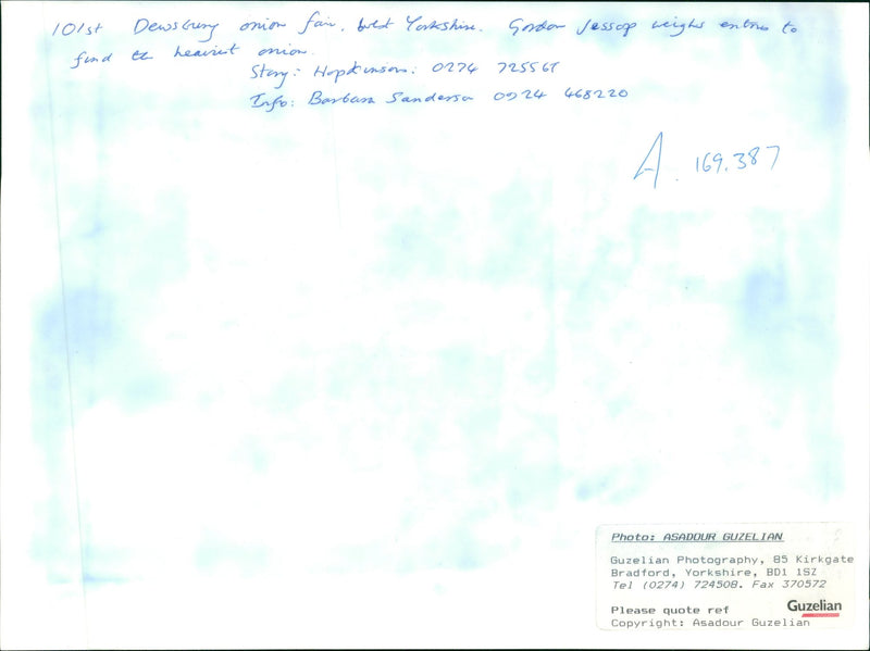 onion vegetables - Vintage Photograph