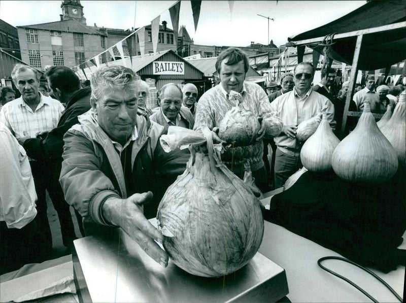 onion vegetables - Vintage Photograph