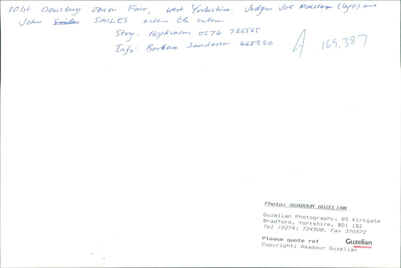 onion vegetables - Vintage Photograph