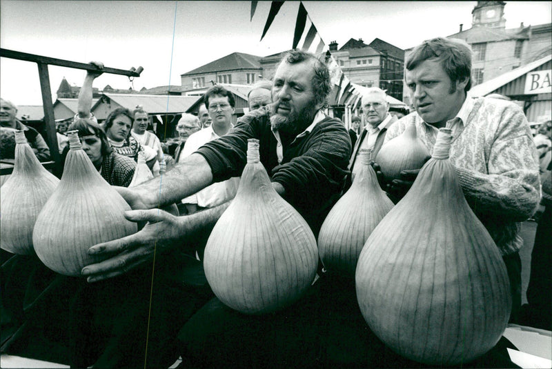 onion vegetables - Vintage Photograph