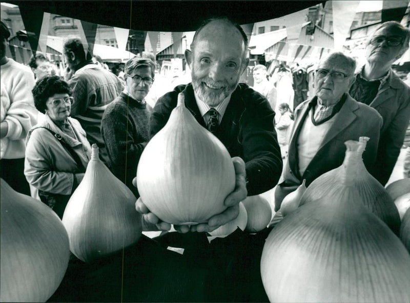 onion vegetables - Vintage Photograph