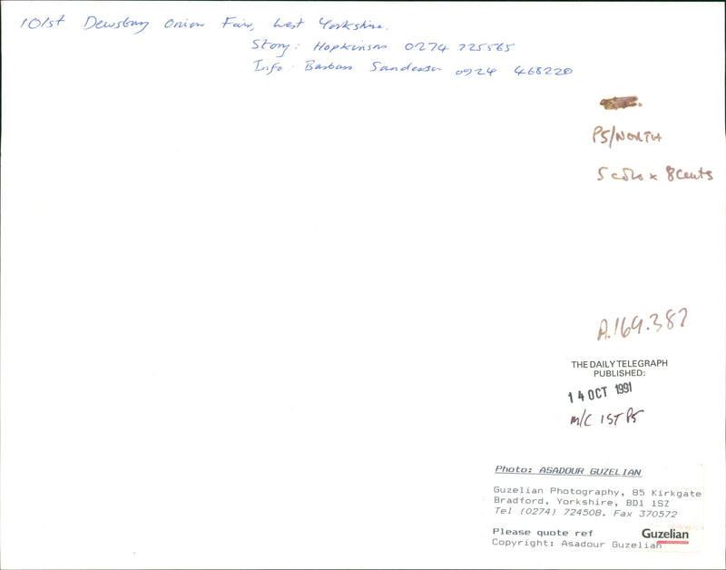 onion vegetables - Vintage Photograph