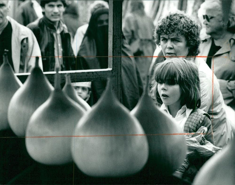 onion vegetables - Vintage Photograph