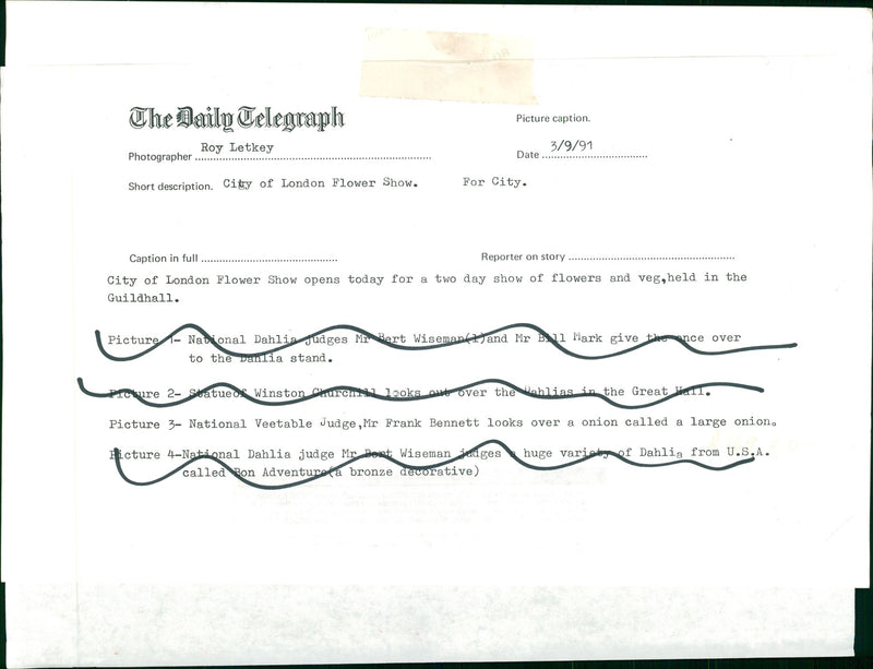 National vegetable Judge, Mr Frank Bennett - Vintage Photograph