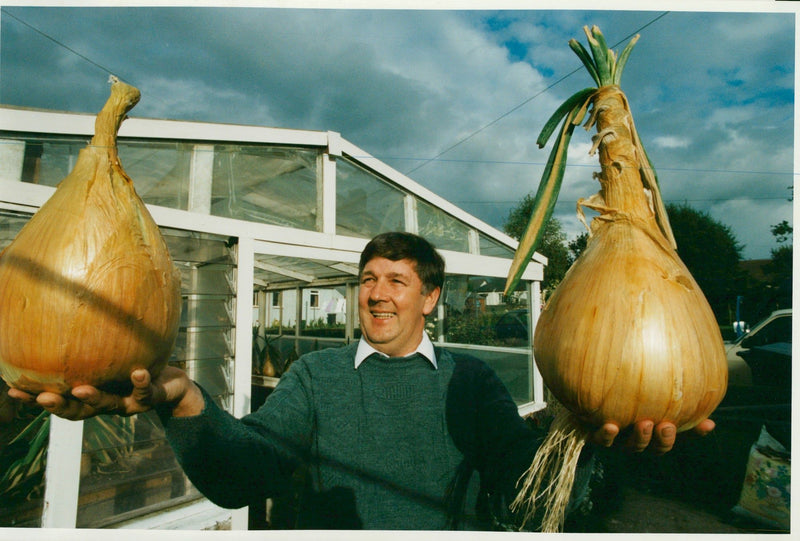 Onion grower poses with monster onion - Vintage Photograph